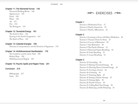 Psychic Witch knyga Llewellyn