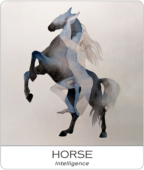 Nature and Soul Yoga Wisdom kortos US Games Systems