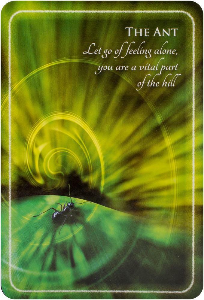 Animal Whispers Empowerment kortos Findhorn Press