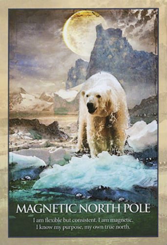 Earth Power Oracle kortos Blue Angel