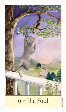 Cats Eye Taro kortos US Games Systems