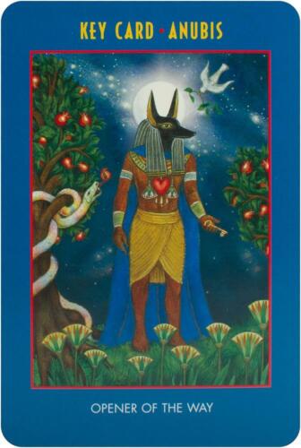 The Anubis Oracle kortos Bear and Company