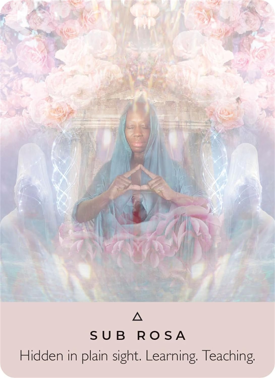 The Rose Pocket Oracle Kortos Hay House
