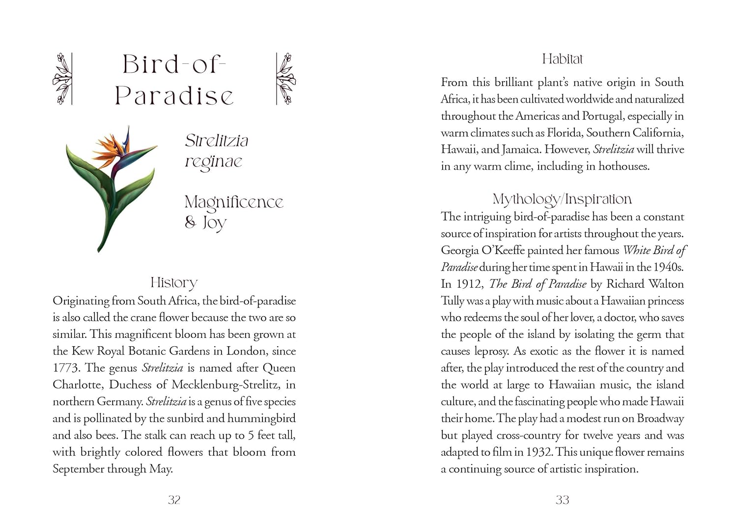 The Flowerwise Oracle kortos Schiffer Publishing