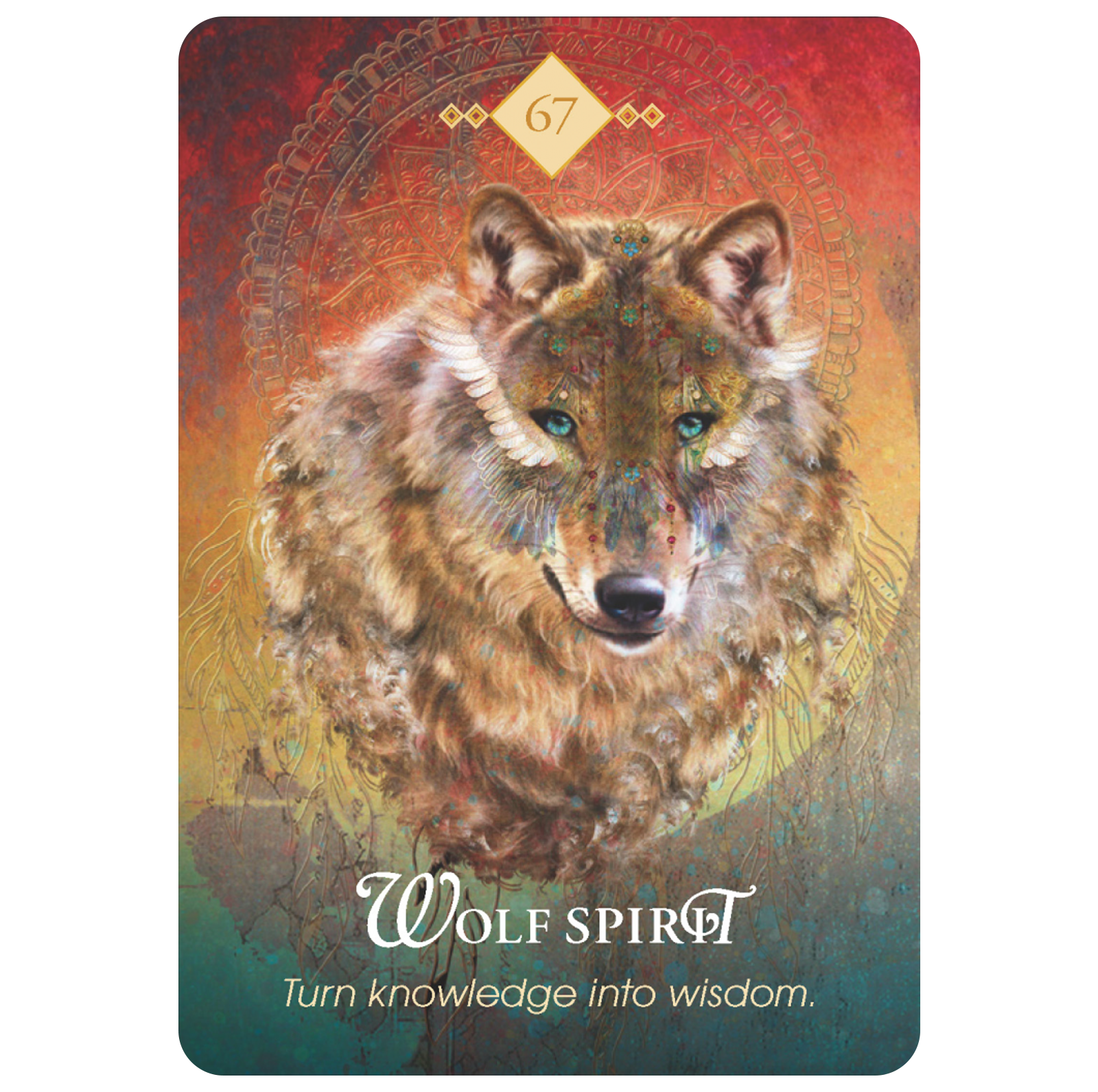 The Spirit Animal Oracle kortos Hay House