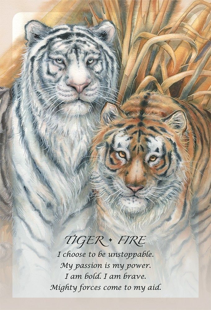 Spirit Of The Animals Oracle kortos US Games Systems