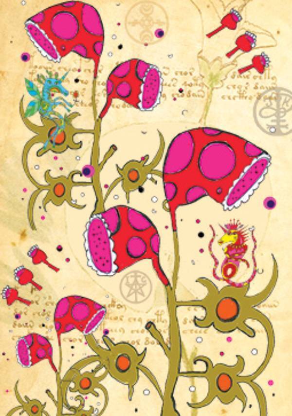Enchanted Unicorn Oracle kortos Rockpool