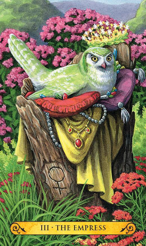 Tarot of the Owls Mini kortos Llewellyn
