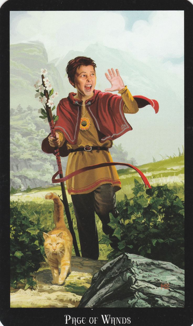 Witches Taro Kortos Llewellyn