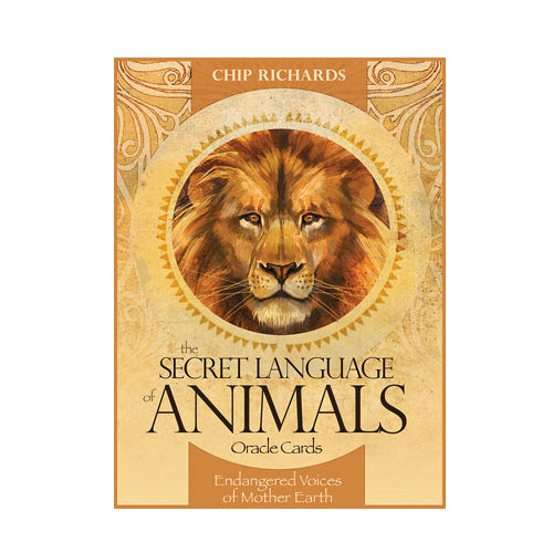 The Secret Language of Animals Oracle kortos Blue Angel