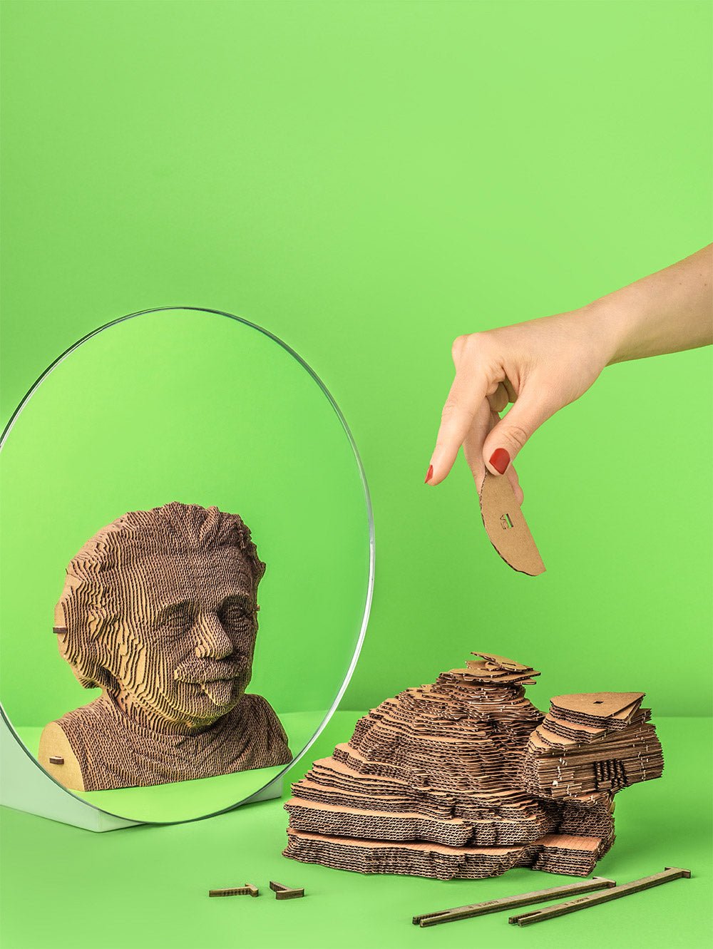 ALBERTAS EINŠTEINAS: surenkama 3D dėlionė - skulptūra - OBUOLYS