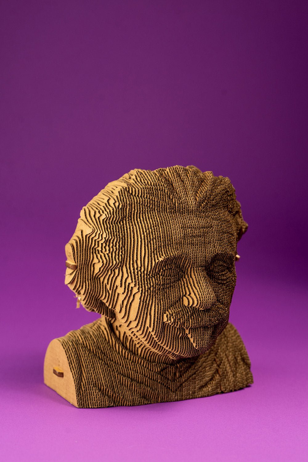 ALBERTAS EINŠTEINAS: surenkama 3D dėlionė - skulptūra - OBUOLYS