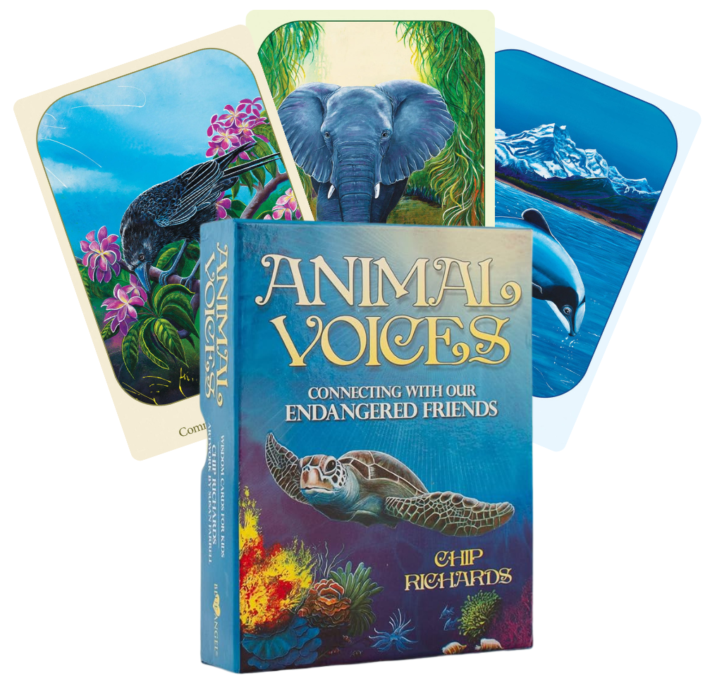 Animal Voices Oracle kortos Blue Angel - OBUOLYS