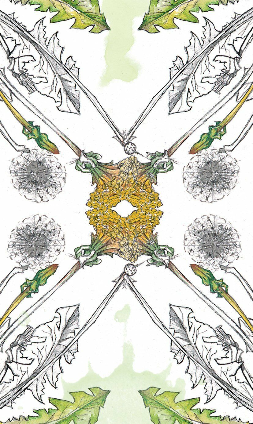 Hedgewitch Botanical Oracle kortos Llewellyn