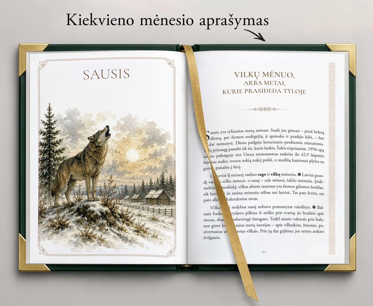 Baltų metų ratas: 2027 m. darbo ir baltiškų tradicijų knyga - OBUOLYS