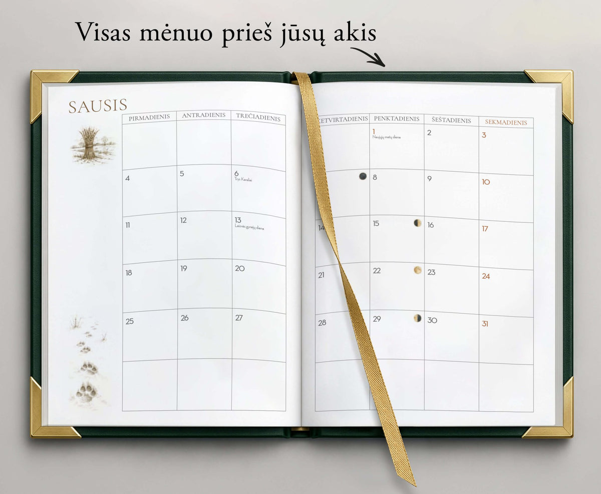 Baltų metų ratas: 2027 m. darbo ir baltiškų tradicijų knyga - OBUOLYS