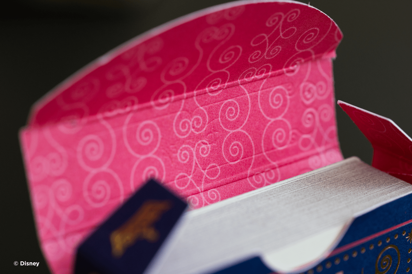 Bicycle Disney Princess Navy kortos - OBUOLYS