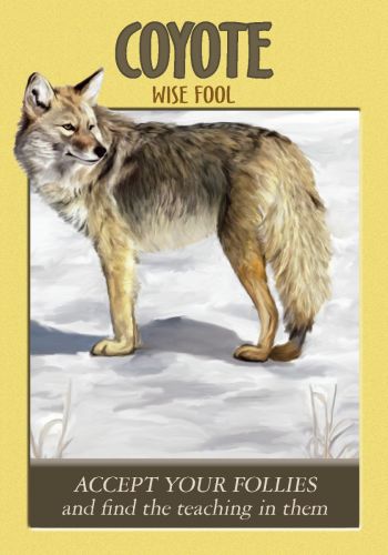 Power Animal Oracle kortos Hay House