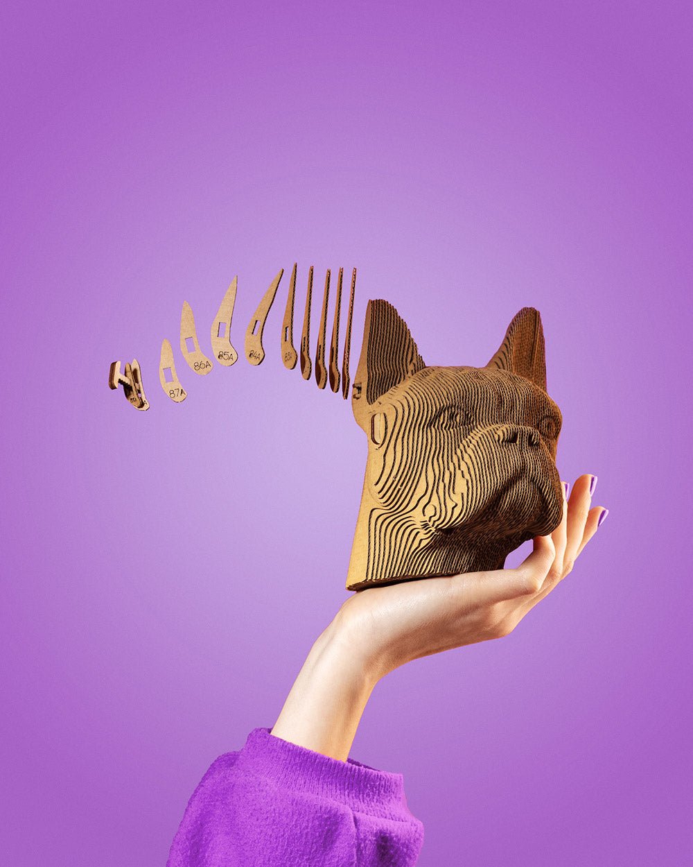BULDOGAS: surenkama 3D dėlionė - skulptūra - OBUOLYS