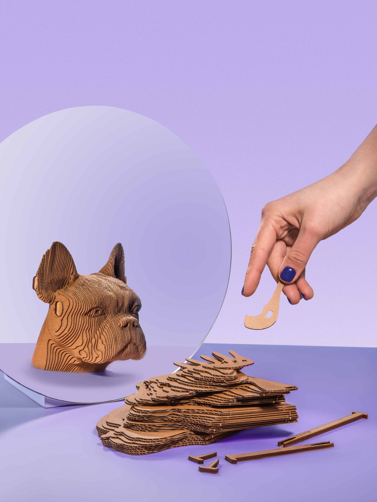 BULDOGAS: surenkama 3D dėlionė - skulptūra - OBUOLYS