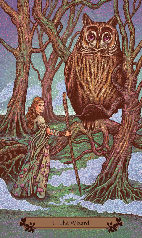 Hedgewitch Taro kortos Llewellyn