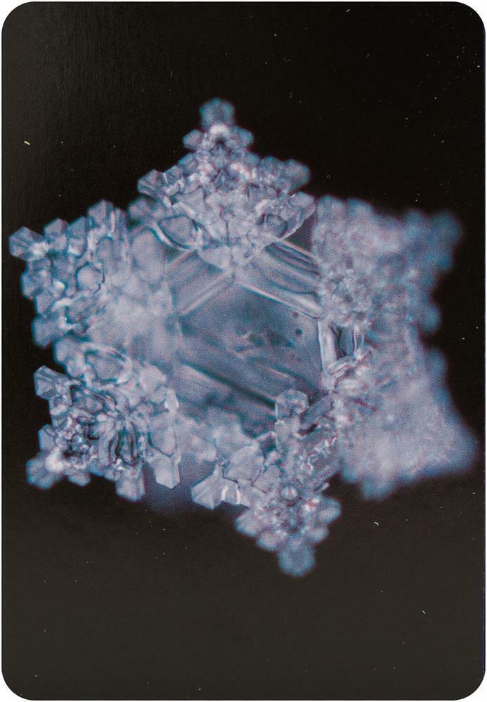 Water Crystal Oracle kortos Beyond Words