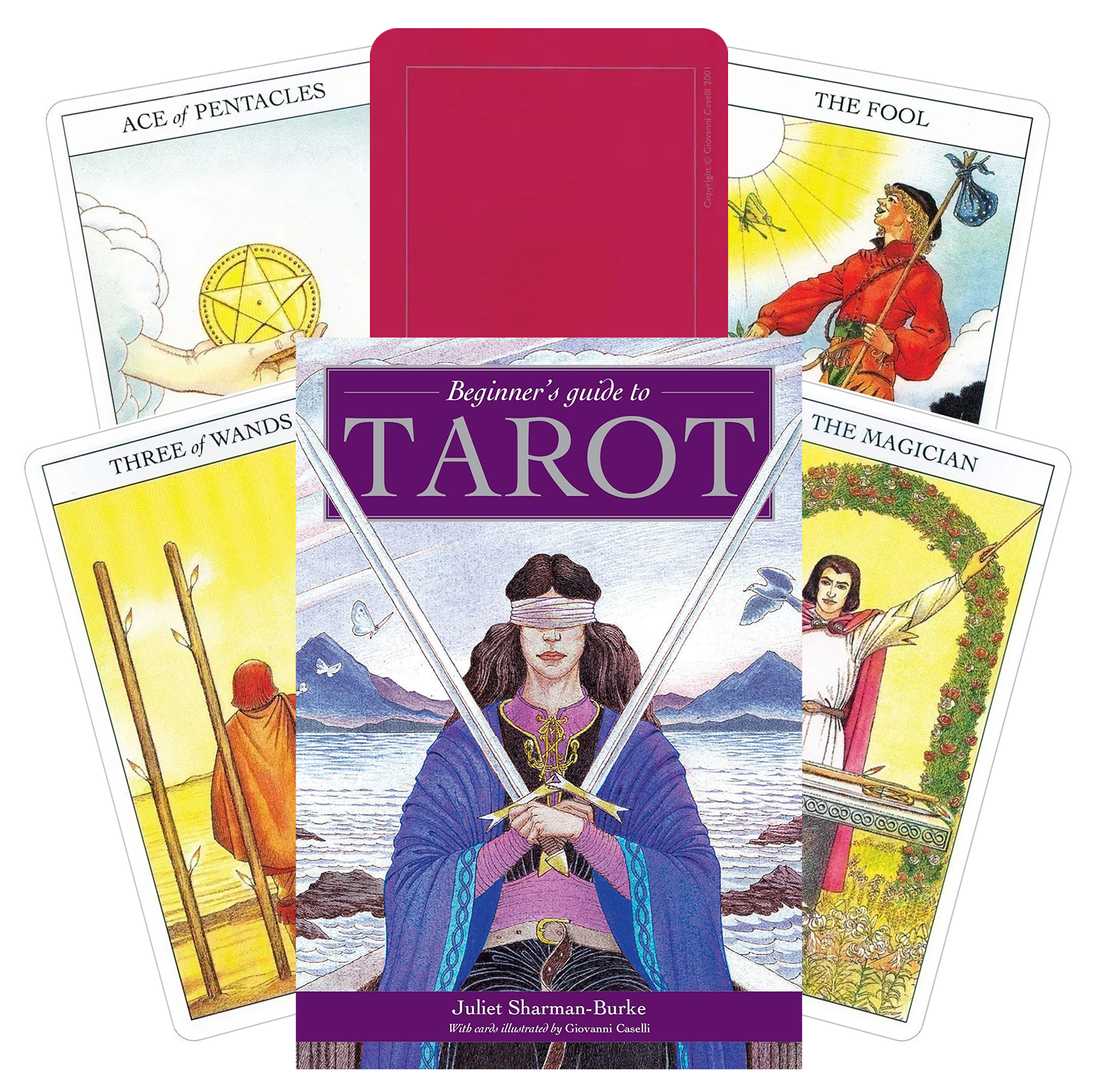 Beginners Guide To Tarot kortos ir knyga US Games Systems