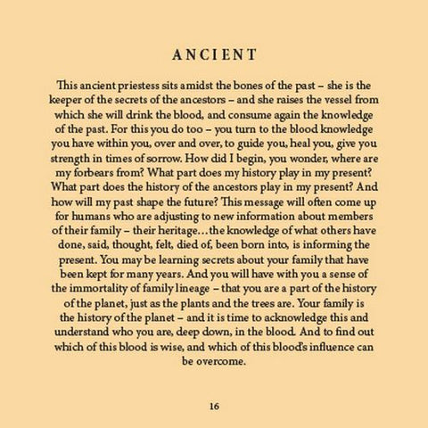 Wisdom of the Vampires knyga Blue Angel