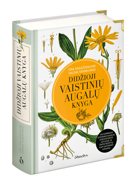 DIDŽIOJI VAISTINIŲ AUGALŲ KNYGA: gydomieji augalai ir šimtai receptų kaip sustiprinti sveikatą - OBUOLYS