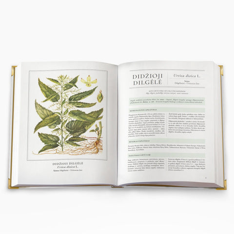 DIDŽIOJI VAISTINIŲ AUGALŲ KNYGA: gydomieji augalai ir šimtai receptų kaip sustiprinti sveikatą - OBUOLYS