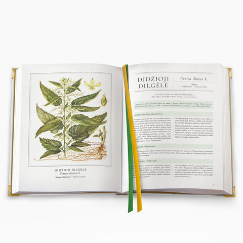 DIDŽIOJI VAISTINIŲ AUGALŲ KNYGA: gydomieji augalai ir šimtai receptų kaip sustiprinti sveikatą - OBUOLYS