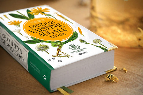 DIDŽIOJI VAISTINIŲ AUGALŲ KNYGA: gydomieji augalai ir šimtai receptų kaip sustiprinti sveikatą - OBUOLYS