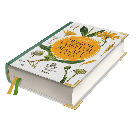 DIDŽIOJI VAISTINIŲ AUGALŲ KNYGA: gydomieji augalai ir šimtai receptų kaip sustiprinti sveikatą - OBUOLYS