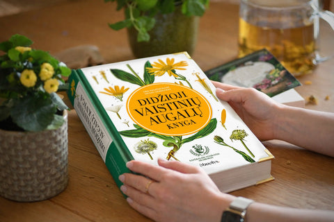 DIDŽIOJI VAISTINIŲ AUGALŲ KNYGA: gydomieji augalai ir šimtai receptų kaip sustiprinti sveikatą - OBUOLYS