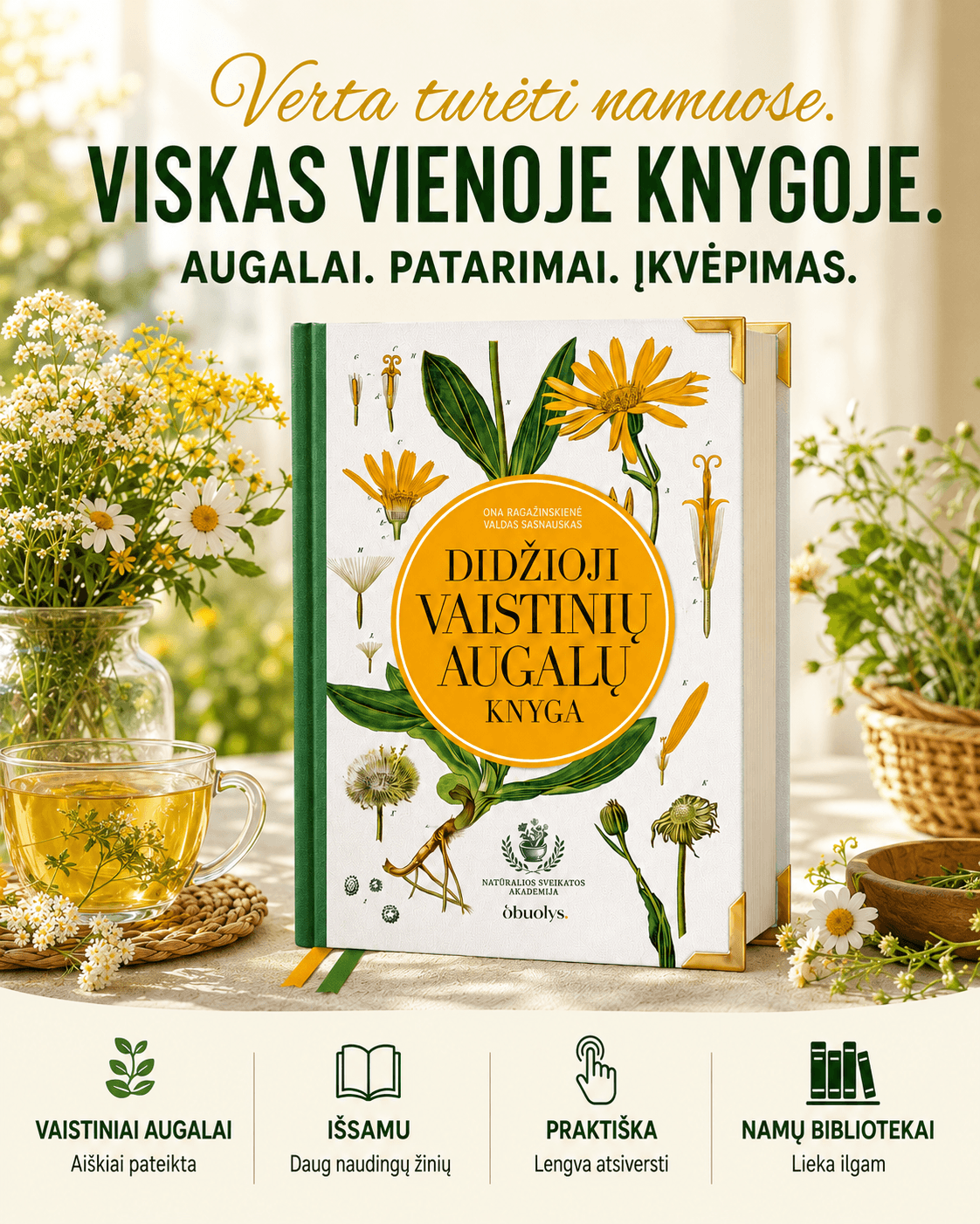 DIDŽIOJI VAISTINIŲ AUGALŲ KNYGA: gydomieji augalai ir šimtai receptų kaip sustiprinti sveikatą - OBUOLYS