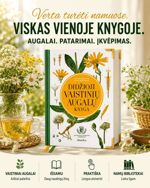 DIDŽIOJI VAISTINIŲ AUGALŲ KNYGA: gydomieji augalai ir šimtai receptų kaip sustiprinti sveikatą - OBUOLYS
