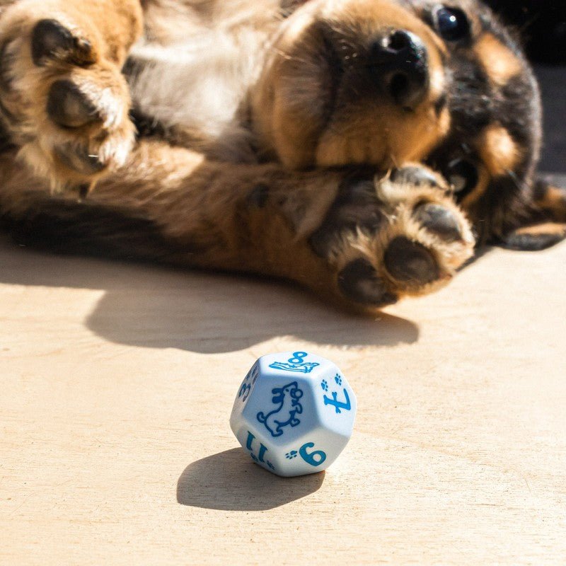 DOGS Dice Set: Max kauliukų rinkinys - OBUOLYS