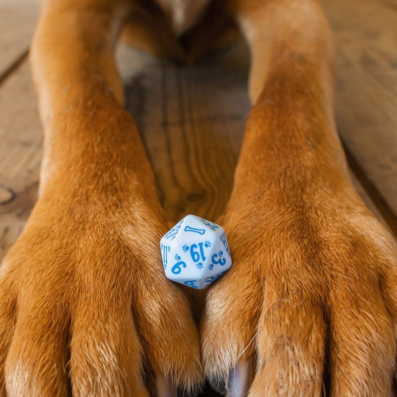 DOGS Dice Set: Max kauliukų rinkinys - OBUOLYS