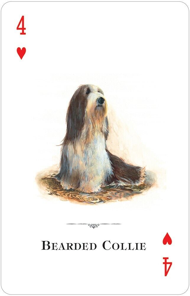 Dogs Of The World žaidimų kortos US Games Systems - OBUOLYS