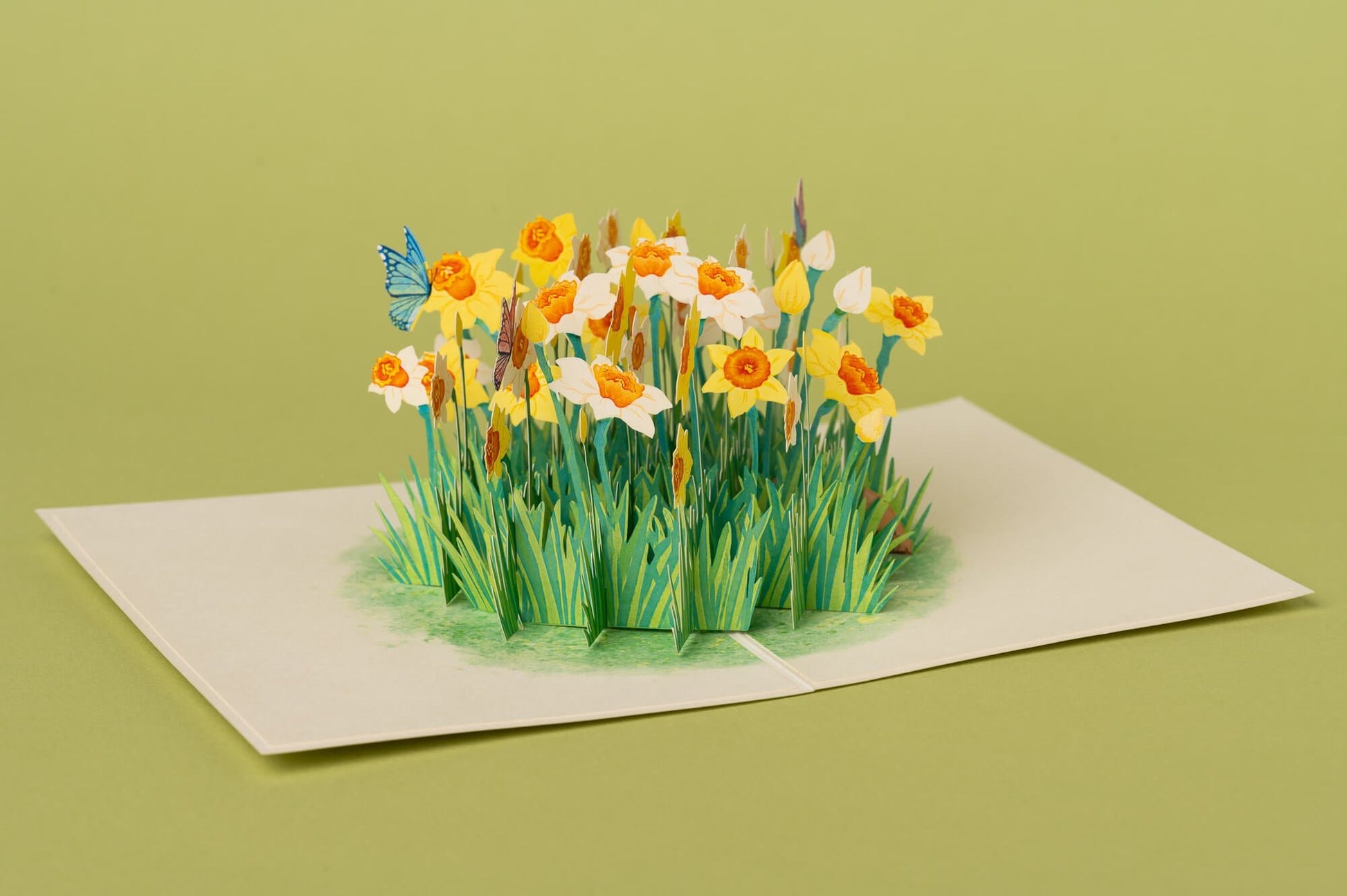 DRUGELIAI NARCIZUOSE: išskirtinio grožio 3D pop - up atvirukas + vokas - OBUOLYS