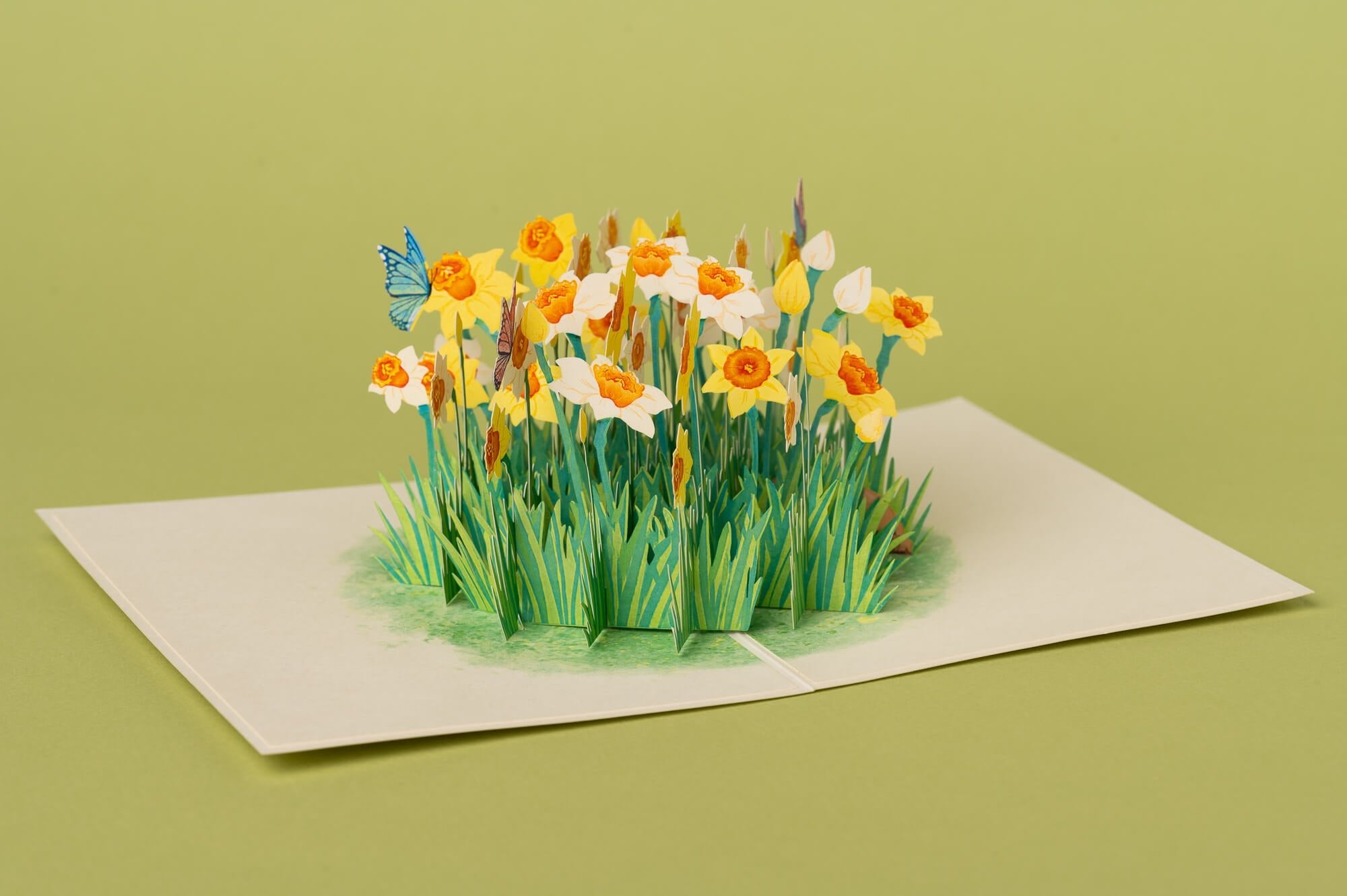 DRUGELIAI NARCIZUOSE: išskirtinio grožio 3D pop - up atvirukas + vokas - OBUOLYS