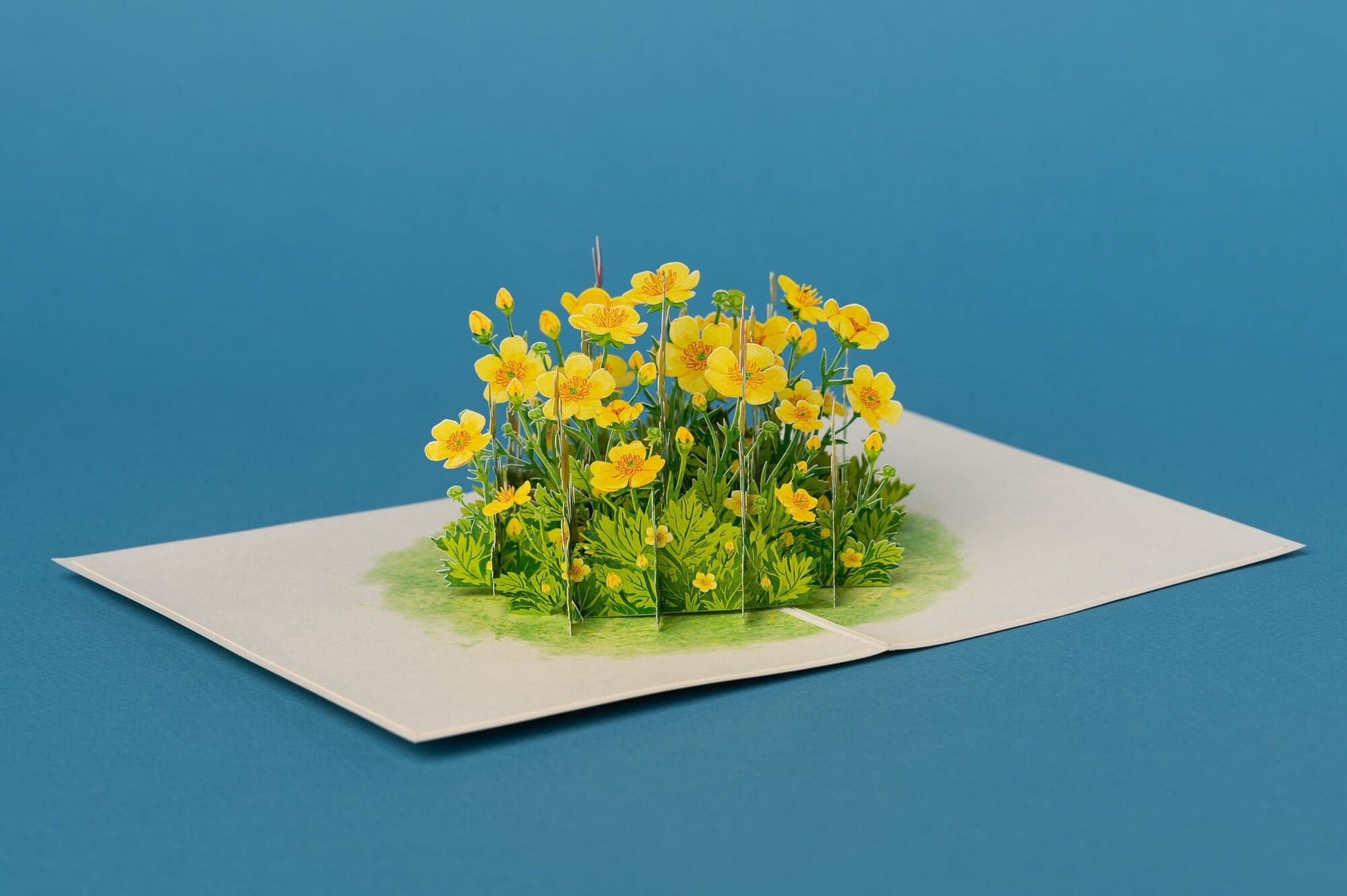 DRUGELIAI PLUKĖSE: išskirtinio grožio 3D pop - up atvirukas + vokas - OBUOLYS