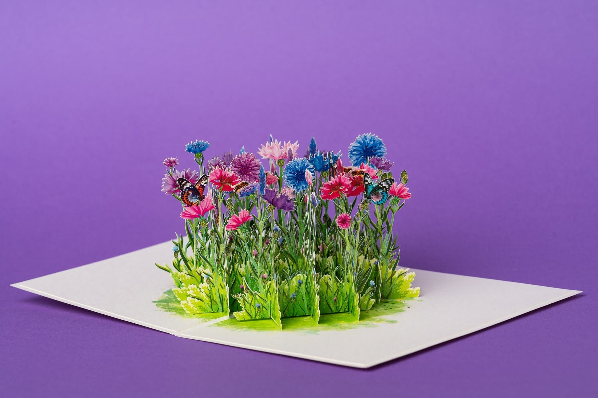DRUGELIAI RUGIAGĖLĖSE: išskirtinio grožio 3D pop - up atvirukas + vokas - OBUOLYS