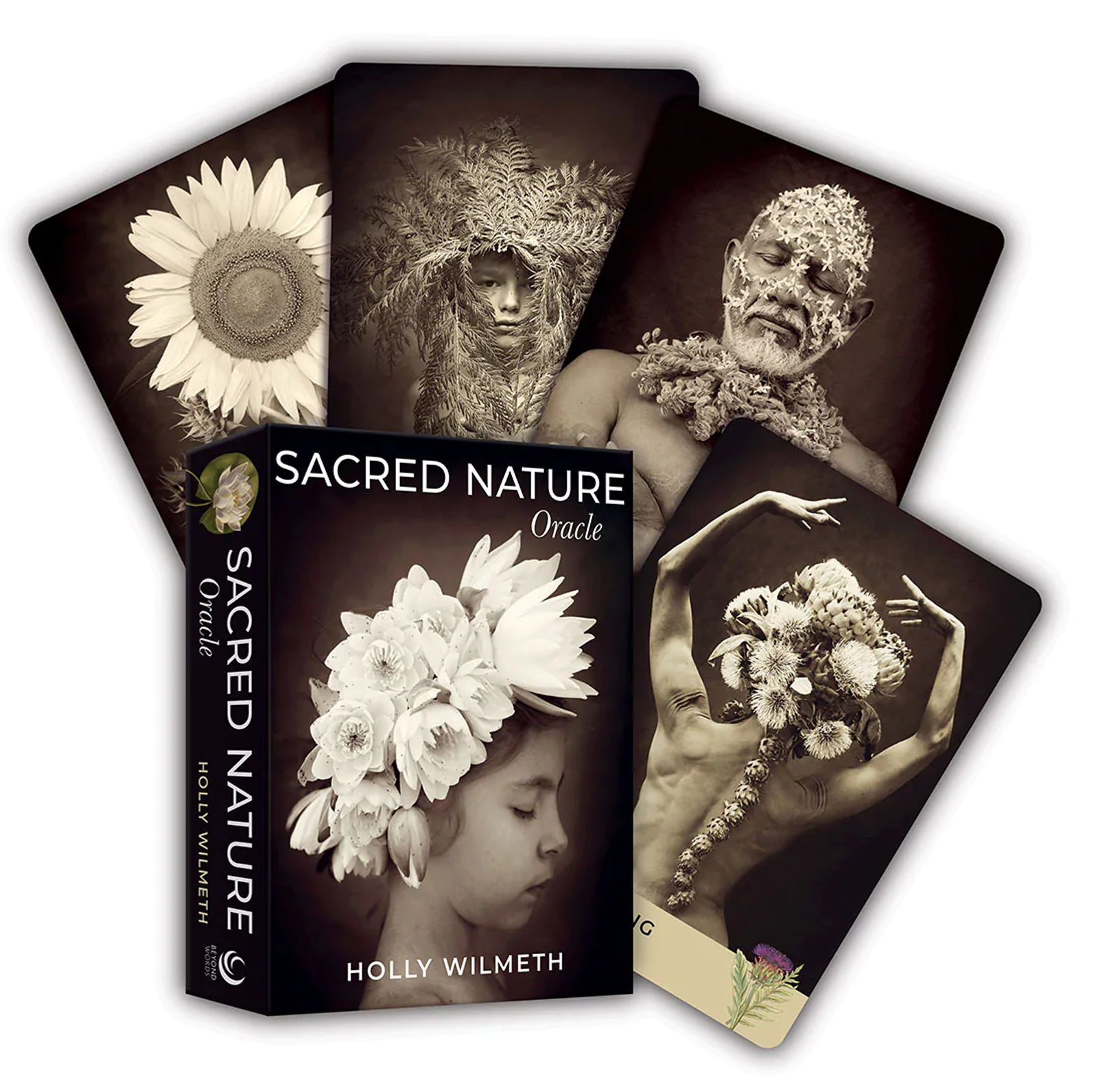 Sacred Nature Oracle kortos Beyond Words
