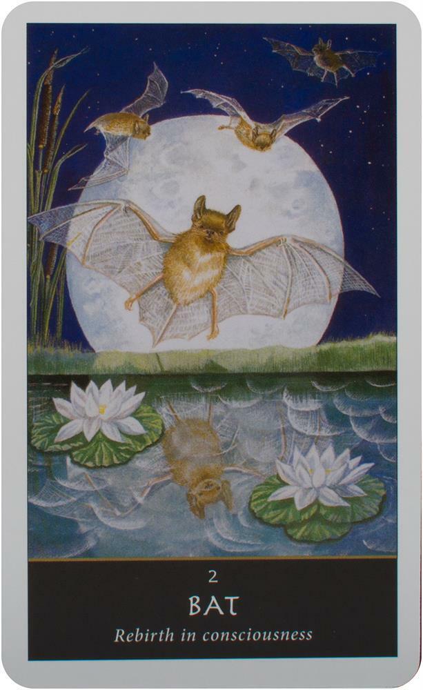 The Witches Oracle kortos Welbeck Publishing
