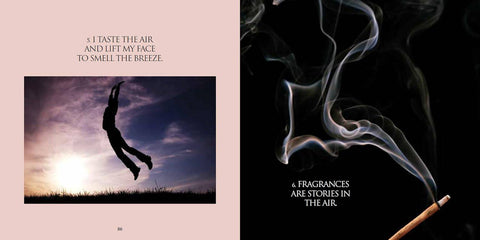 Earth Air Fire Water knyga ir 2 CD meditacijoms Blue Angel - OBUOLYS