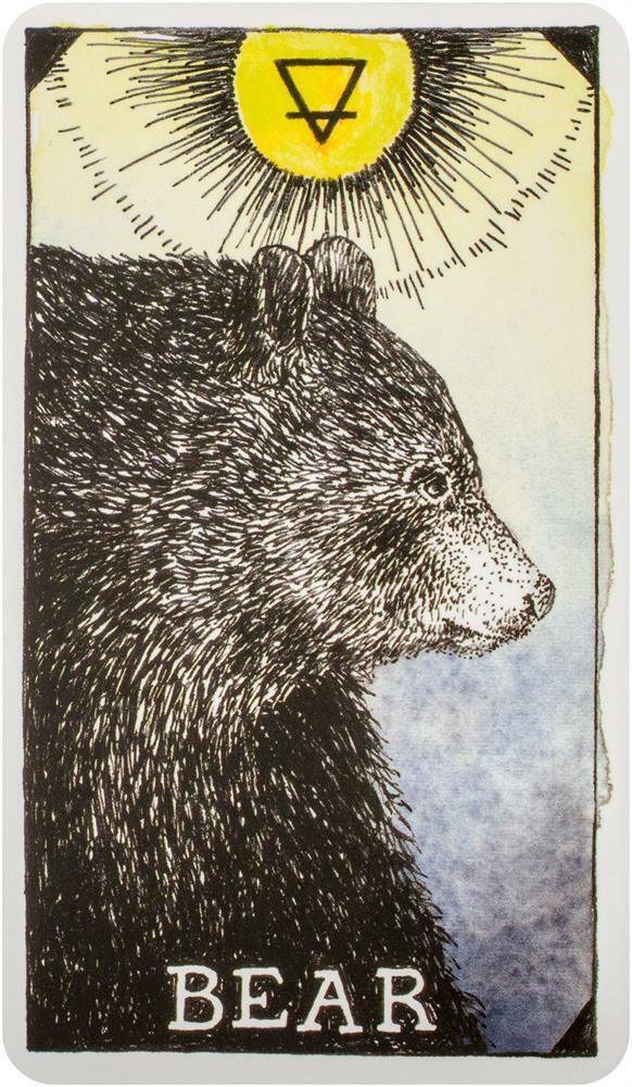 The Wild Unknown Pocket Animal Spirit kortos Harper One