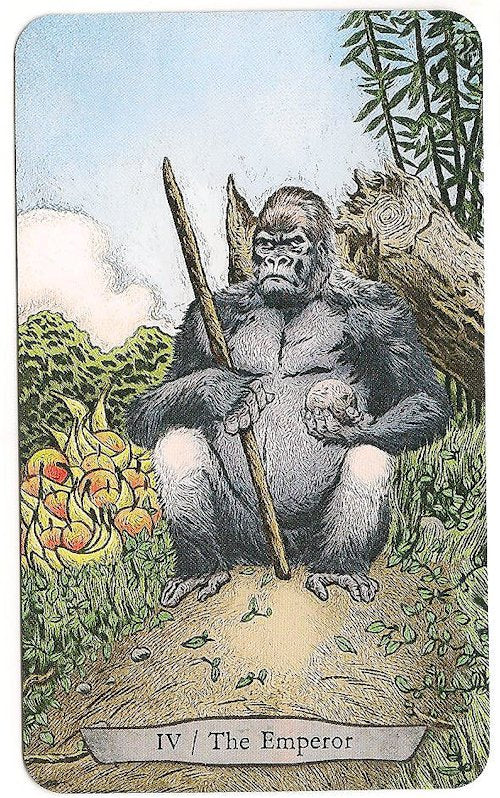 Animal Totem Taro Kortos Llewellyn