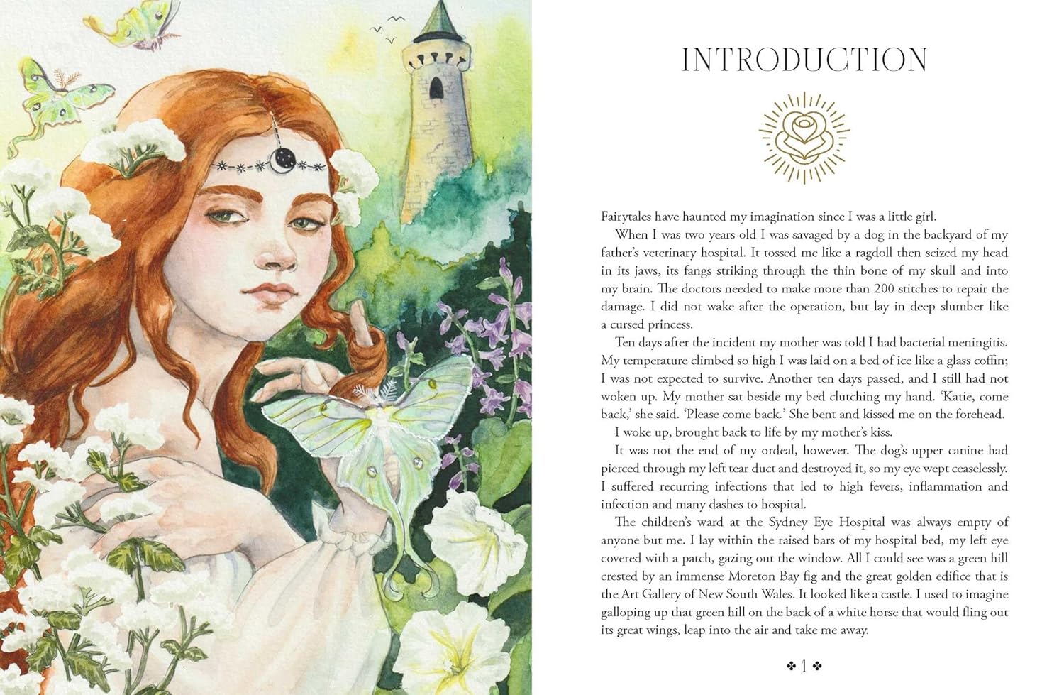 Fairytale Oracle kortų kaladė Rockpool Publishing - OBUOLYS