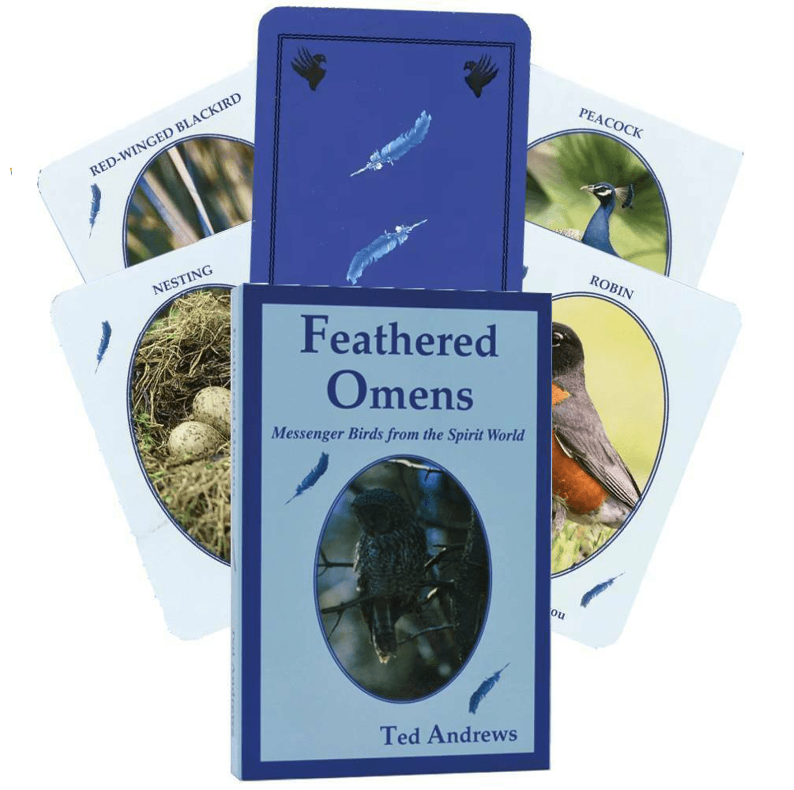 Feathered Omens Spiritual kortos Dragonhawk Publishing - OBUOLYS